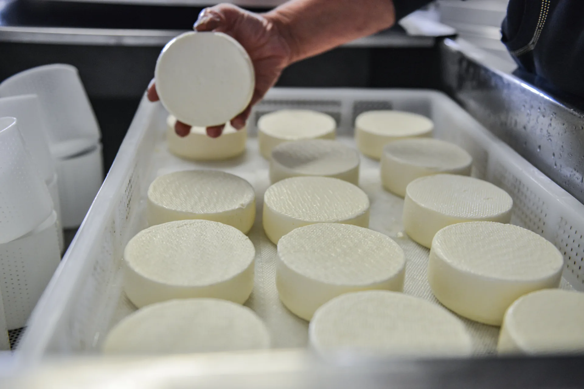 Frischer Käse vom Hof