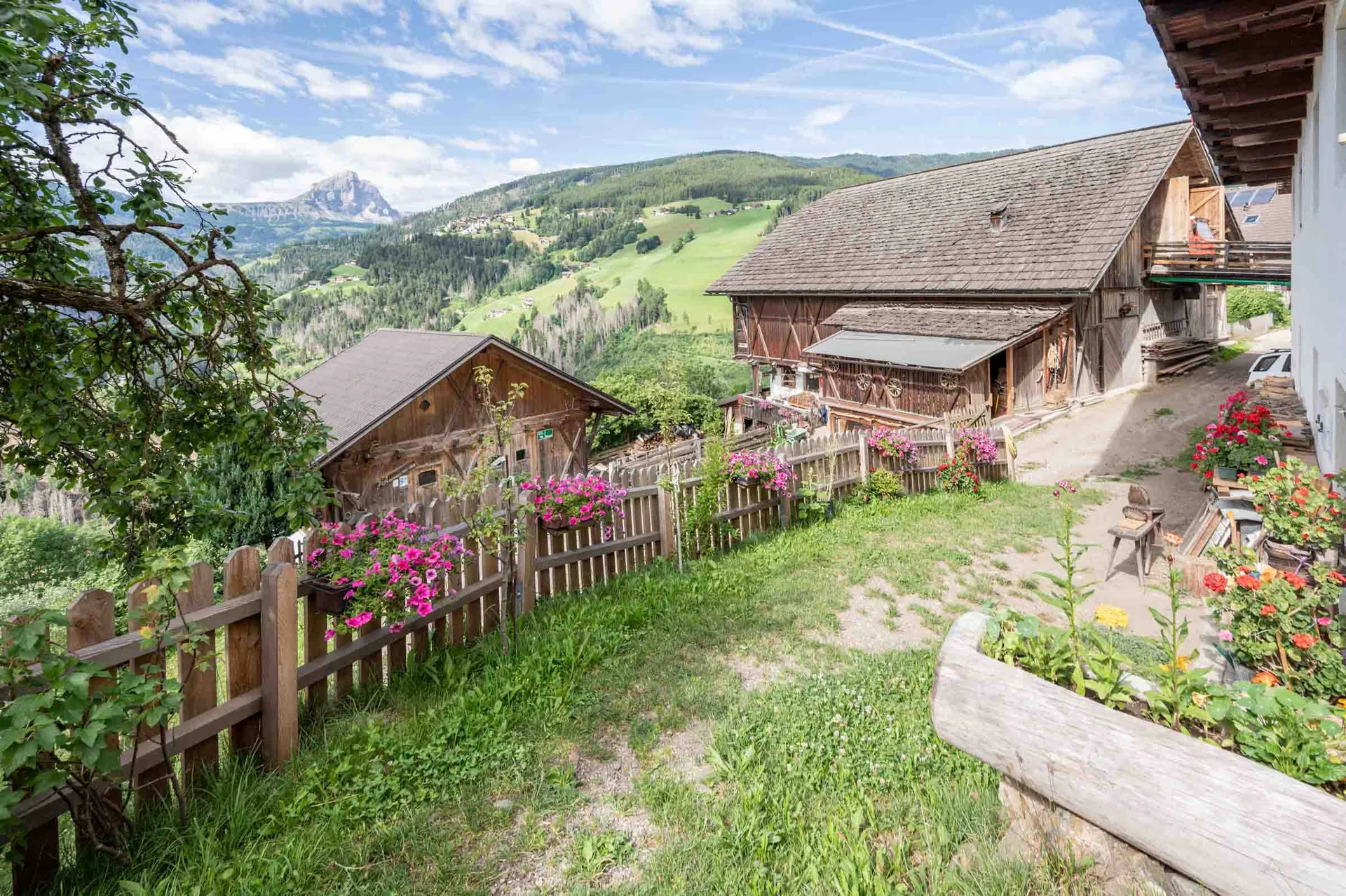 Weg und Blumengarten am Hof