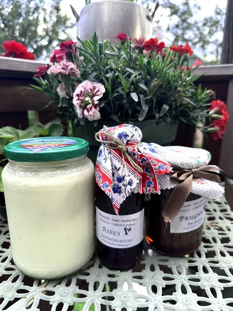 Yogurt fatto in casa del Lü Mesavila
