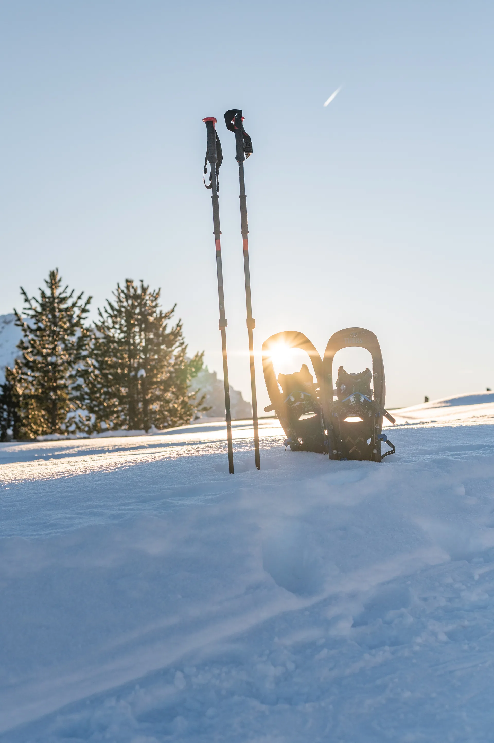 Ski und Schneeschuhe in der Wintersonne